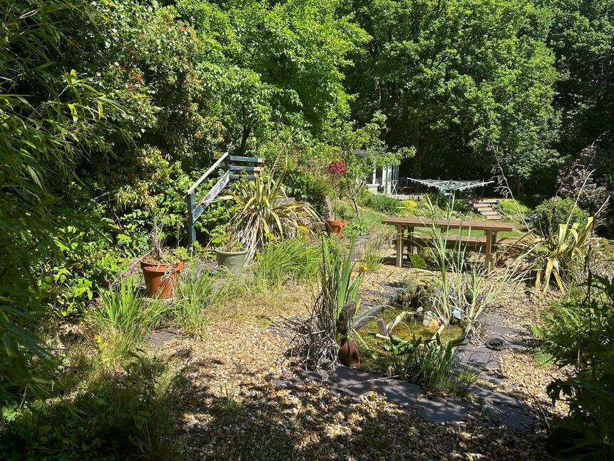 Image 23