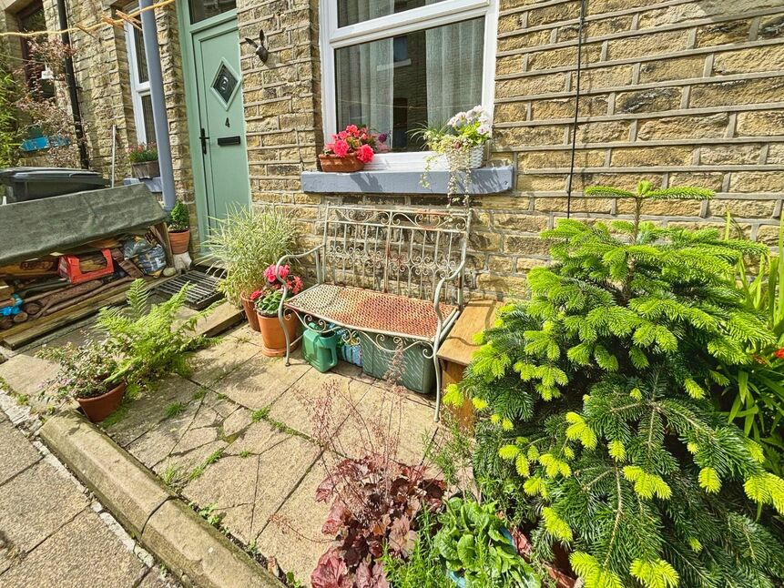 Image 11