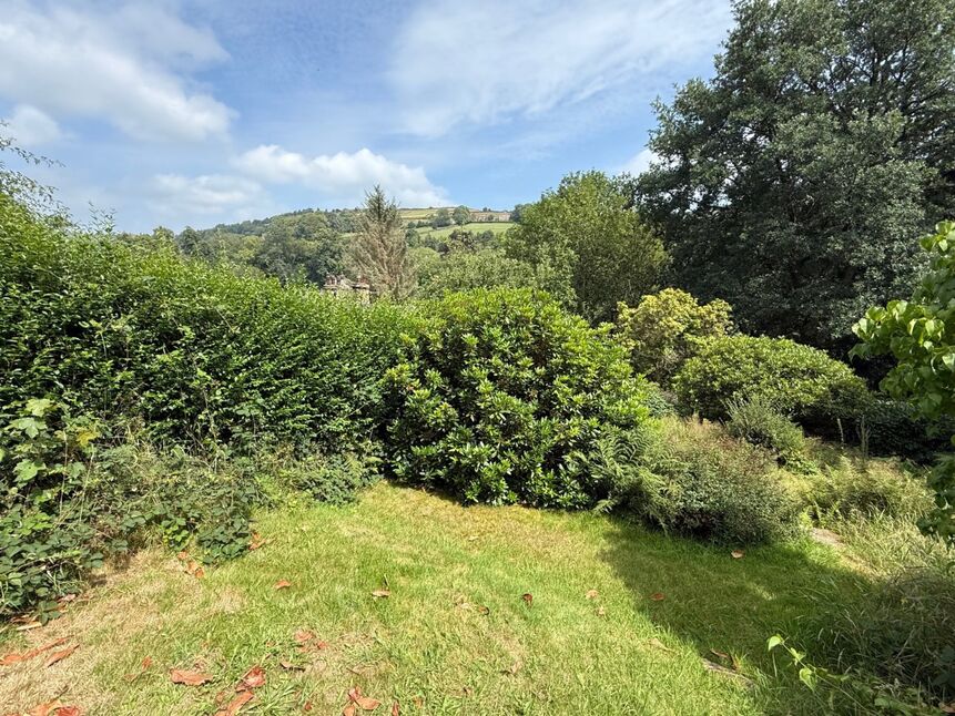 Image 11