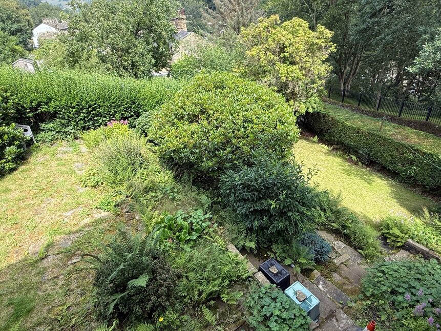 Image 15