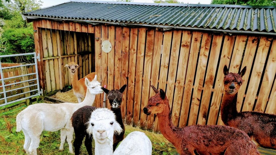 4 bedroom Semi Detached House for sale, Blackshaw Head, Hebden Bridge