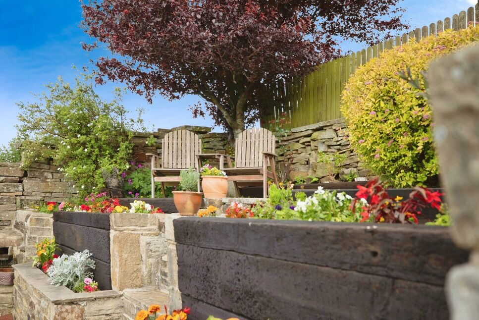 Image 20