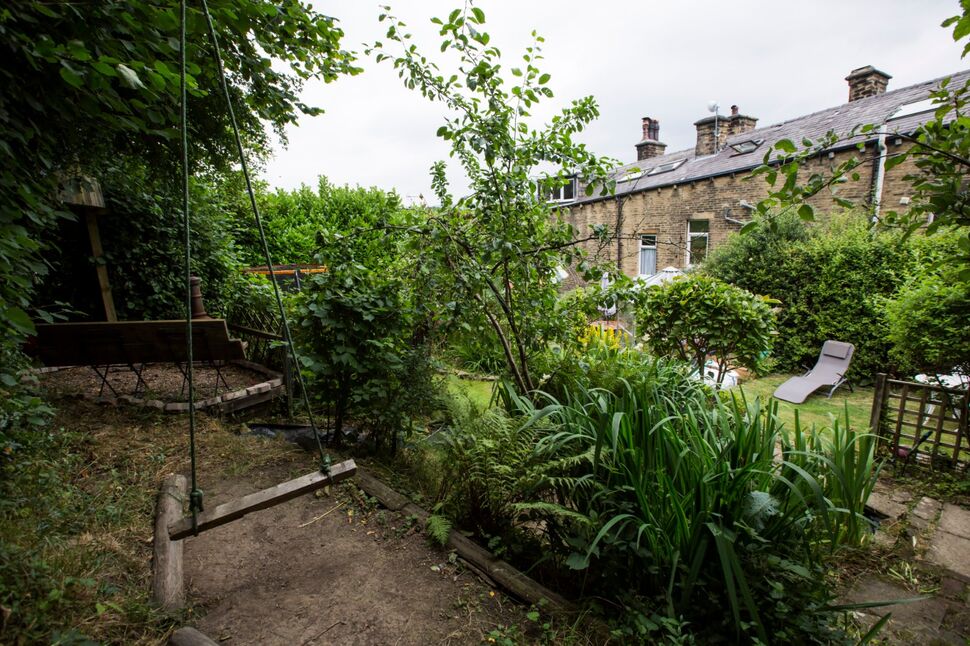 Image 14