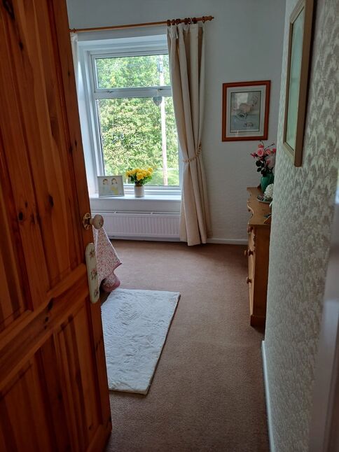 Image 15