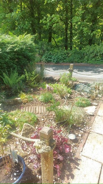 Image 29