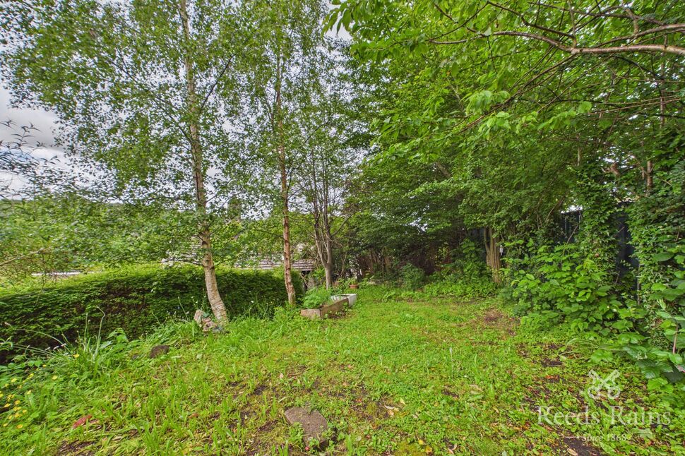 Image 29