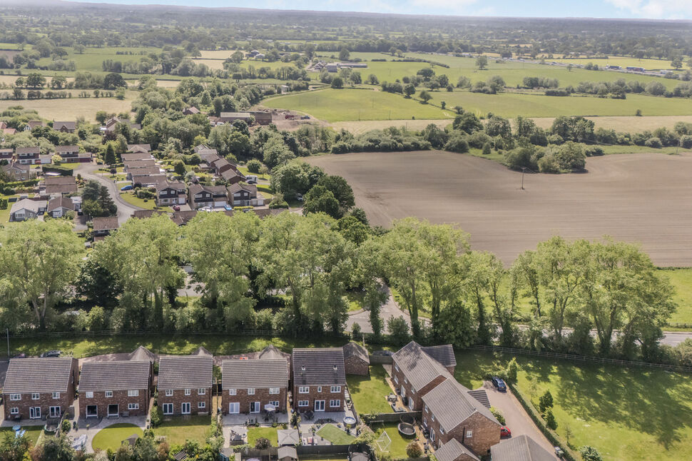 Image 25