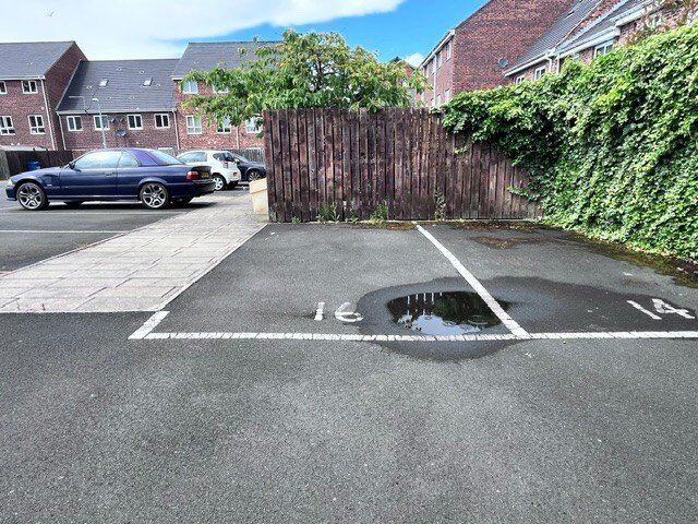 Image 16