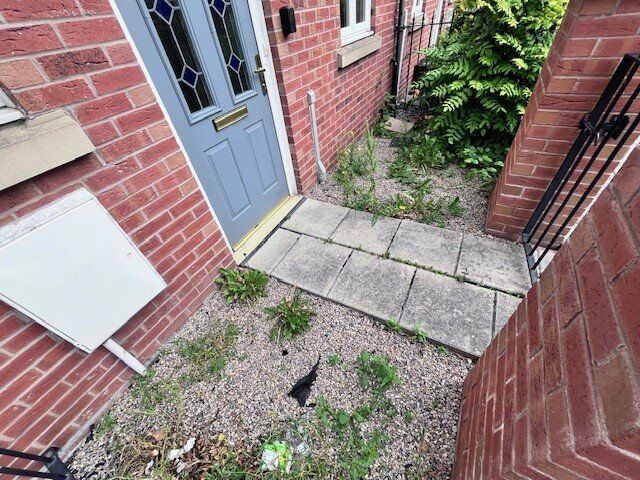 Image 13