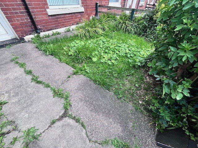 Front Garden