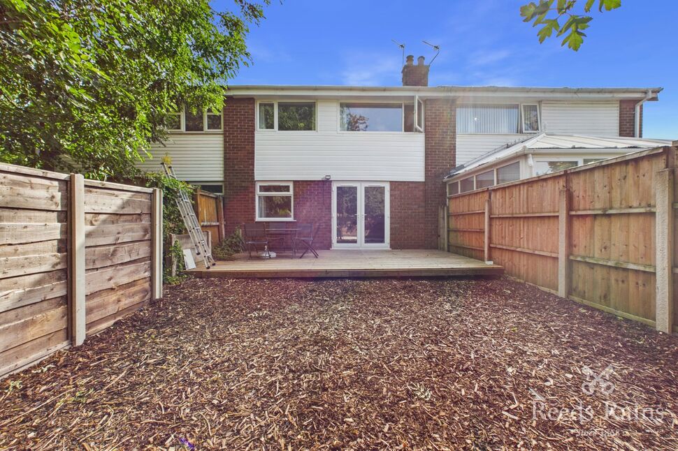 Image 19