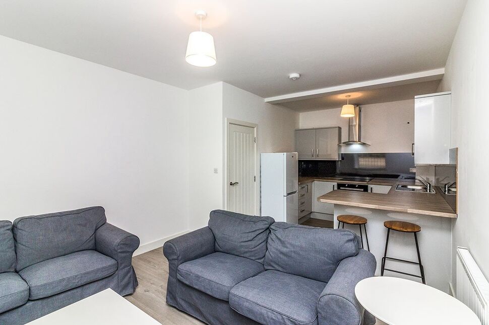 Lounge / Kitchen / Diner
