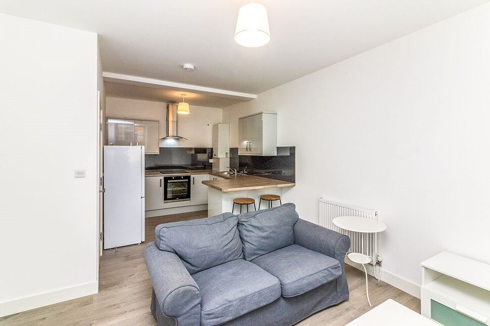Lounge / Kitchen / Diner