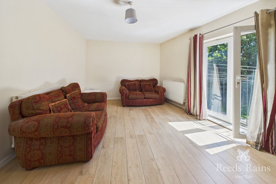 Kitchen / Living Space