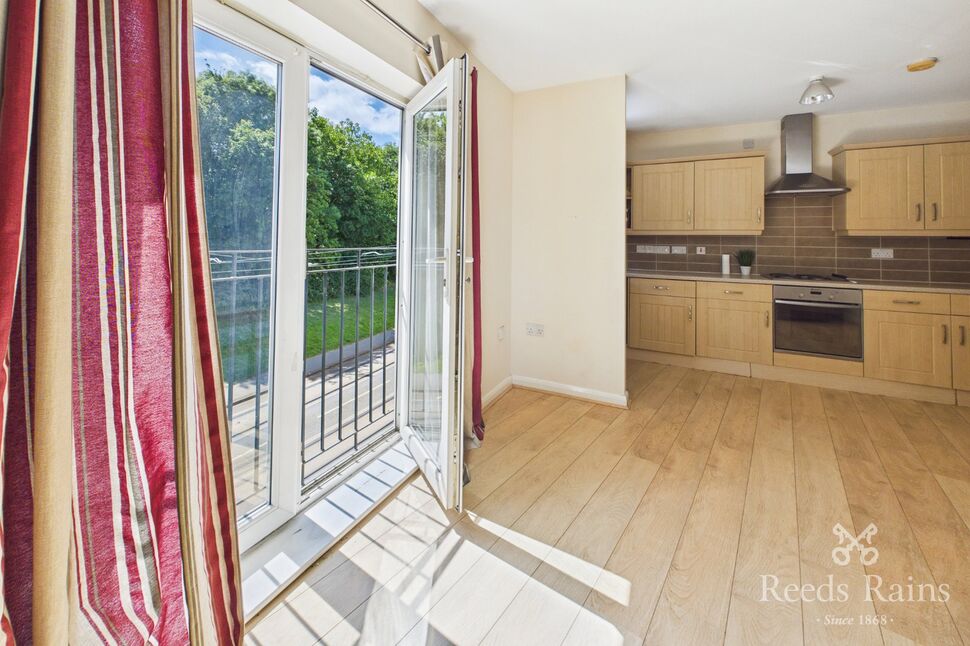 Kitchen / Living Space