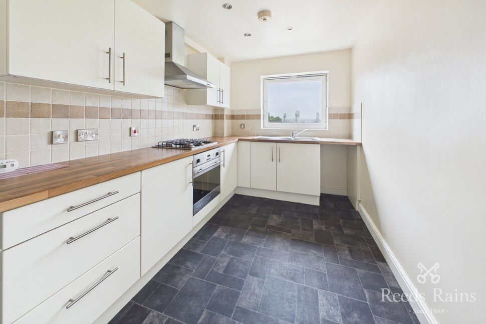 Kitchen / Living Area