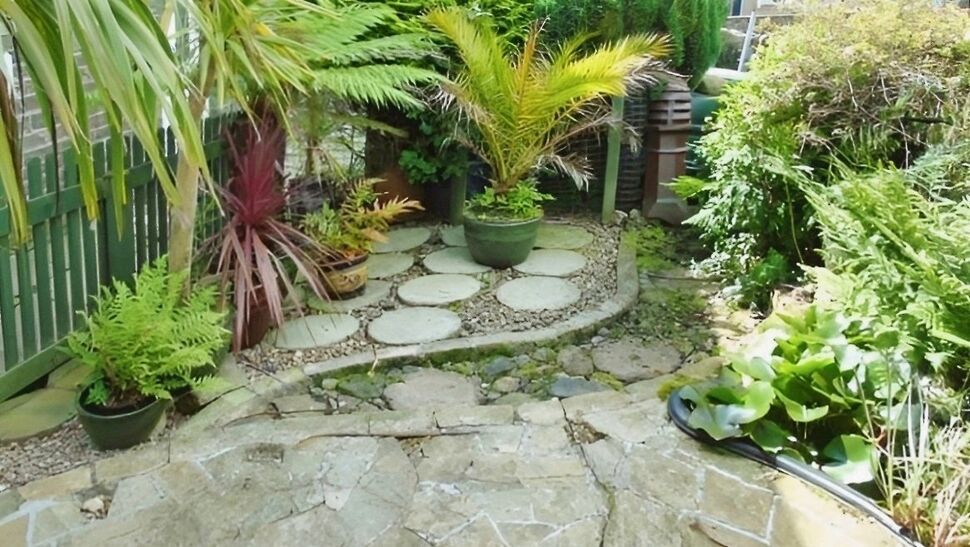 Image 5