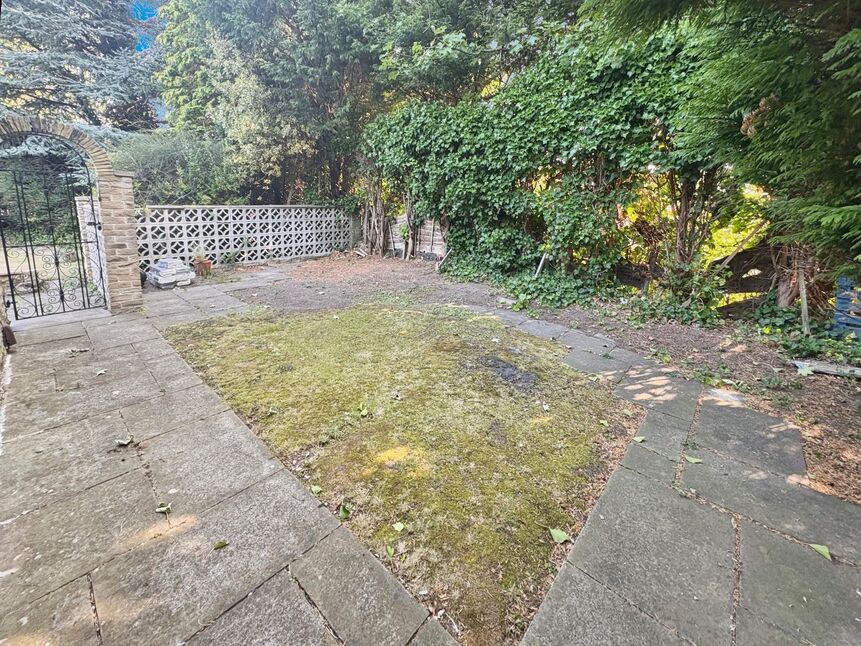 Image 23