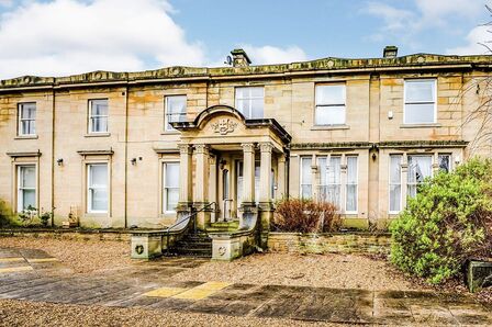 1 bedroom  Flat to rent