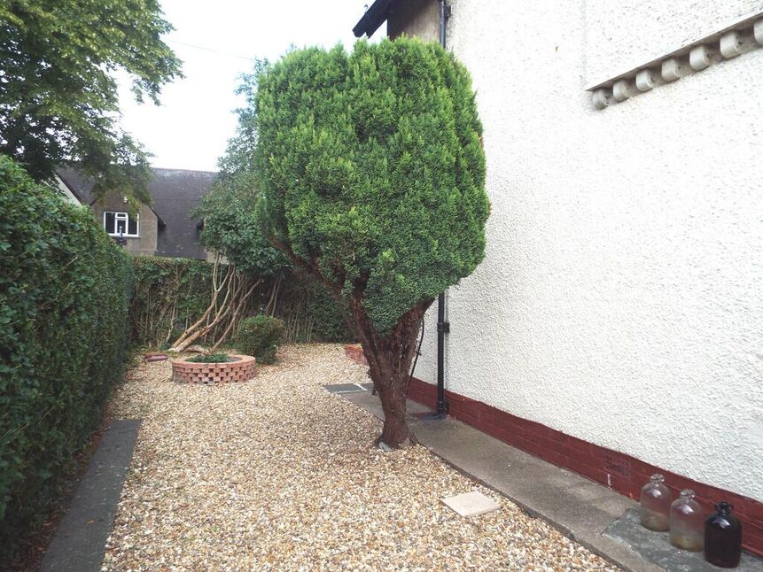 Image 13