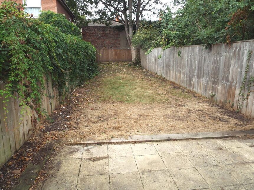 Image 14