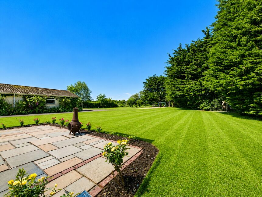 Grounds