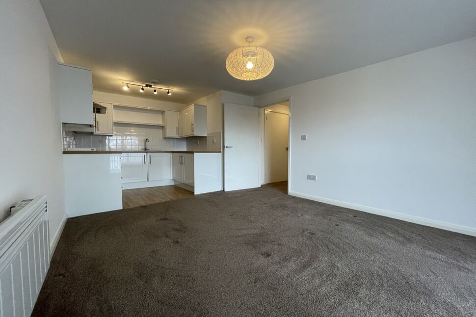 Kitchen / Living Room