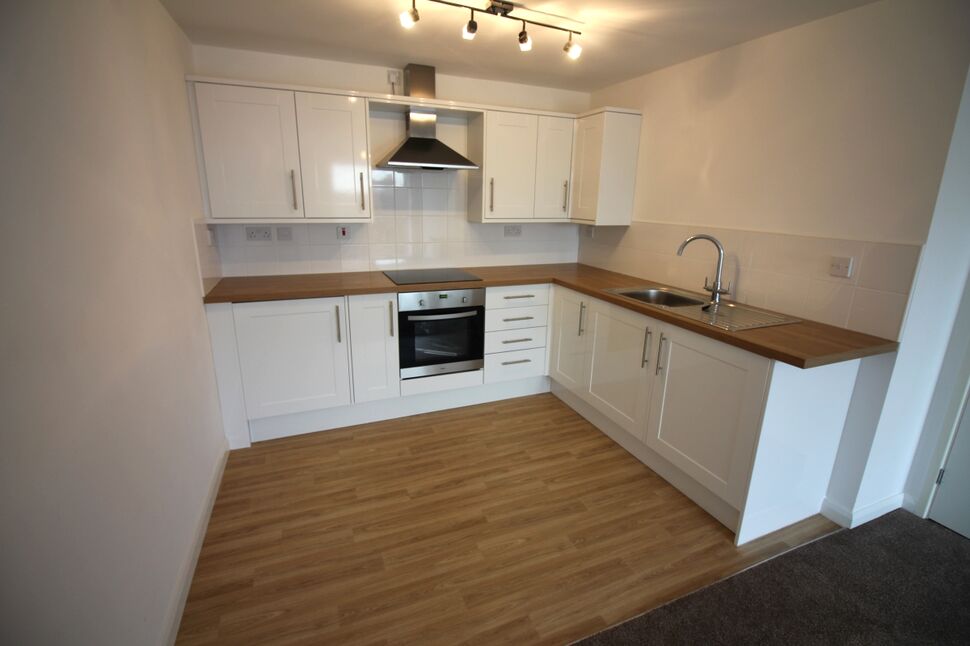 Kitchen / Living Area