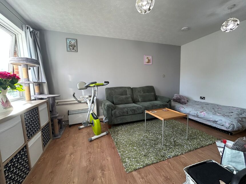 Living Room / Bedroom