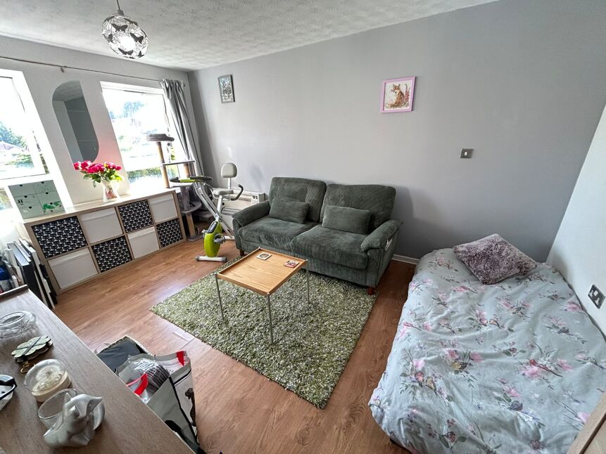 Living Room / Bedroom