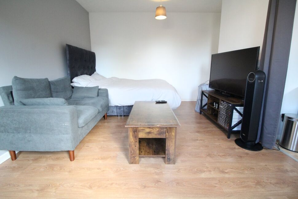 Living Room / Bedroom