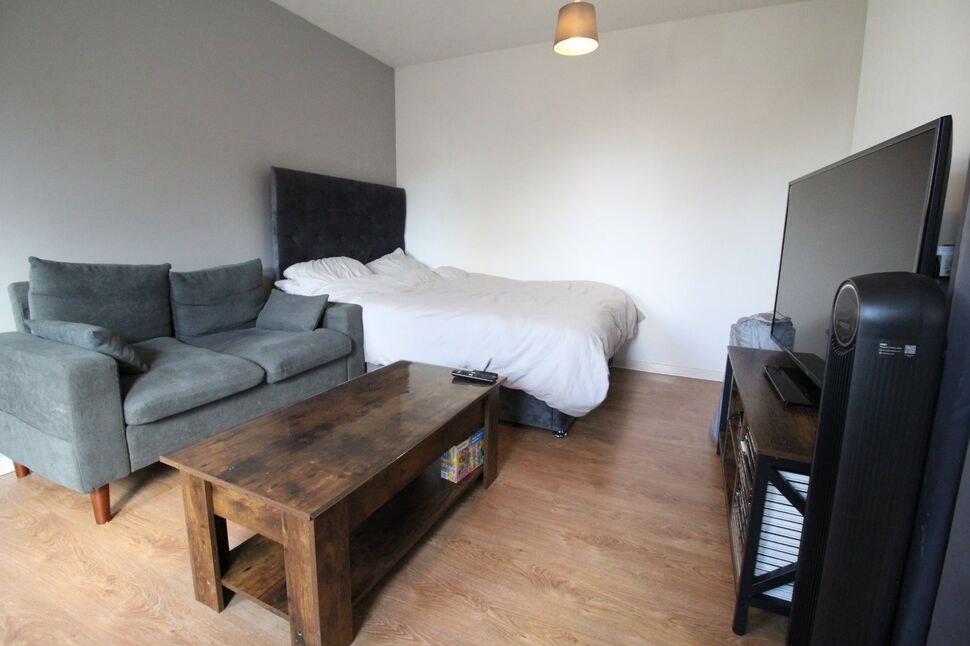 Living Room / Bedroom