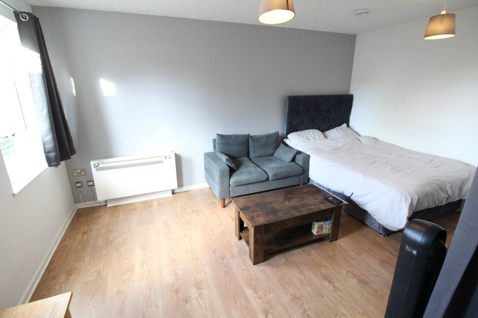 Living Room / Bedroom