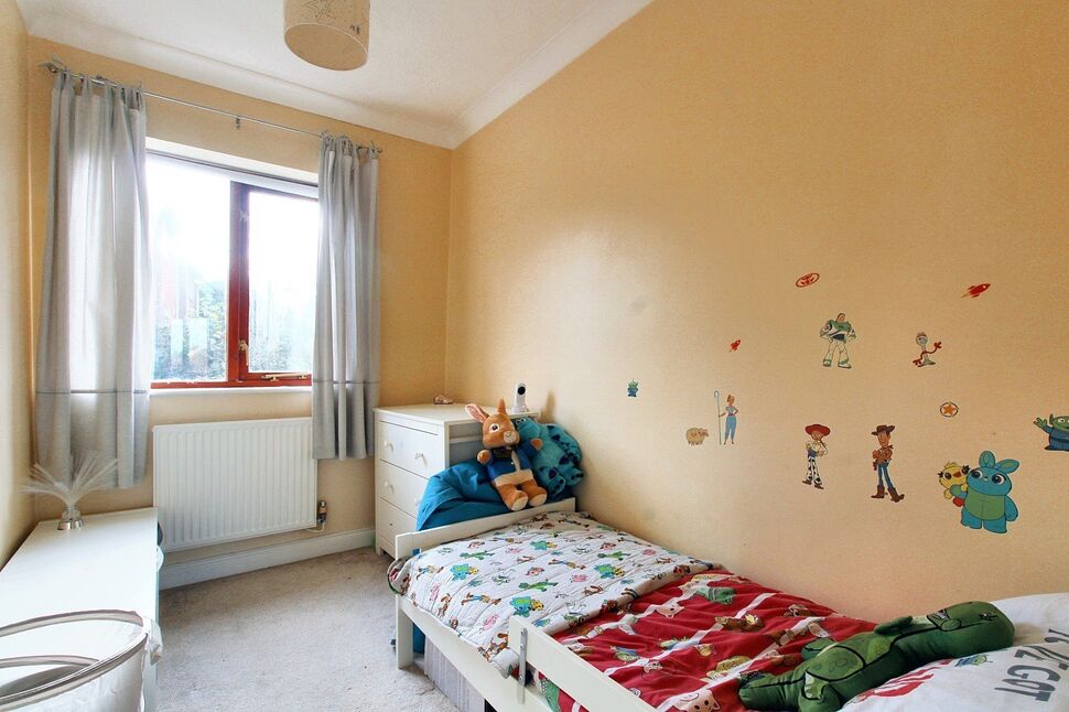 Image 8