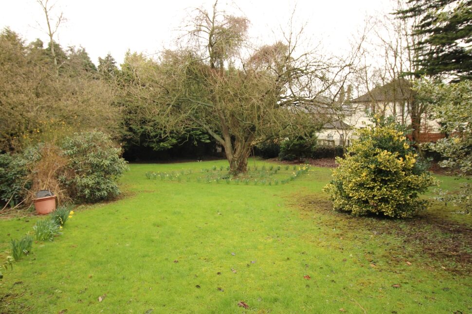 Communal Garden