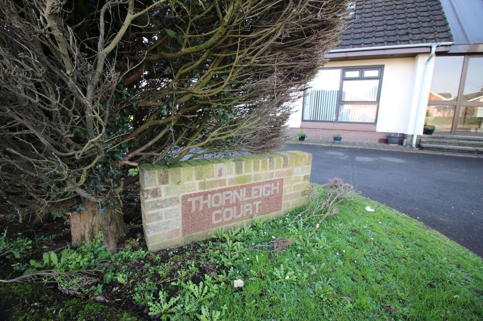 Image 14