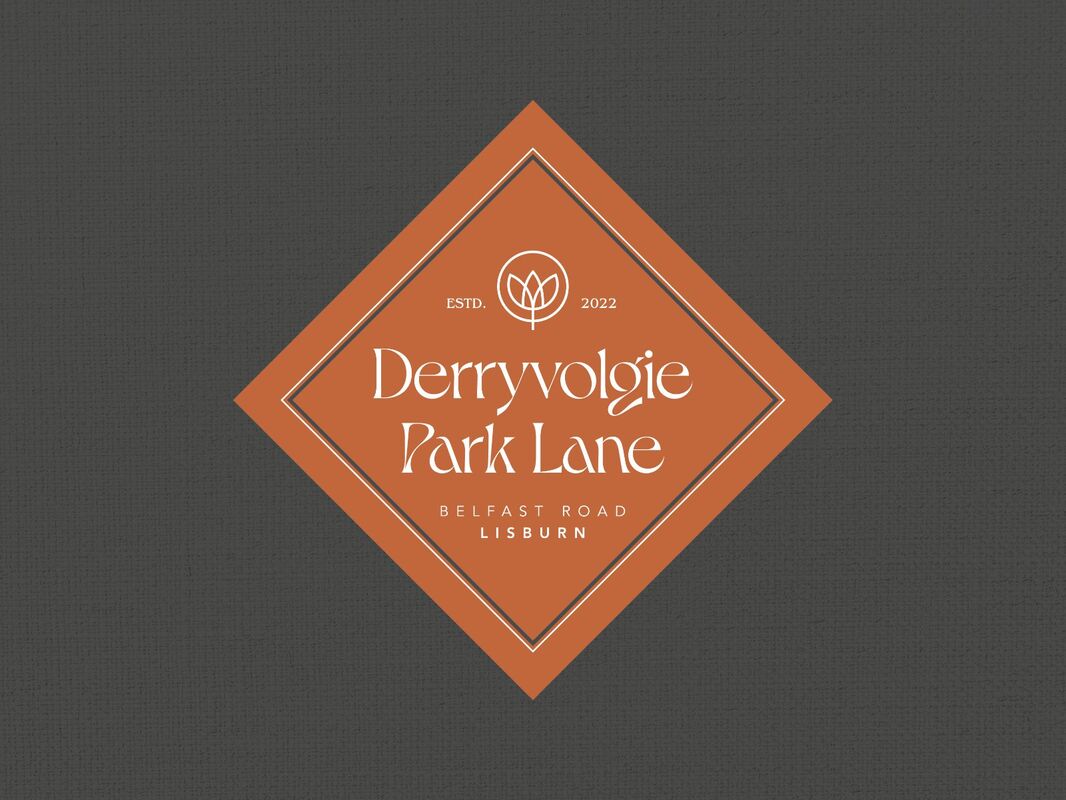 Derryvolgie Park Lane