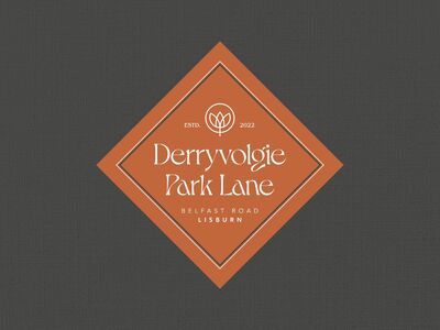 Derryvolgie Park Lane