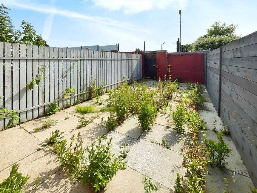 Image 6