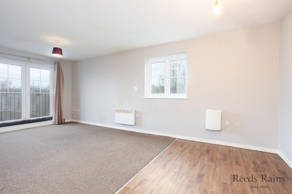 Open Plan / Living / Kitchen