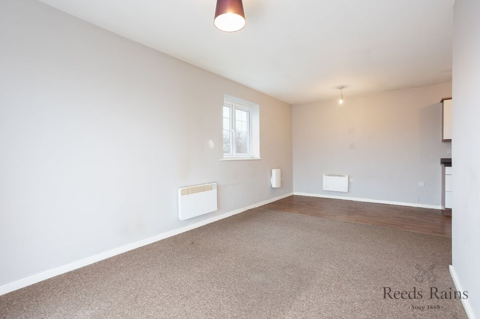 Open Plan / Living / Kitchen