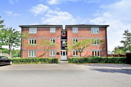 1 bedroom  Flat to rent