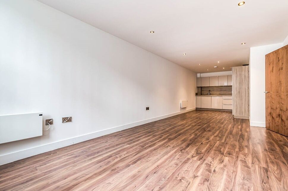 Living Area / Kitchen