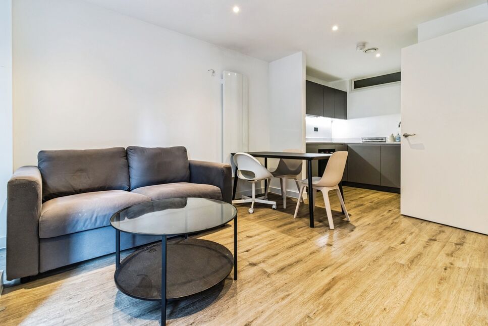 Living Area / Kitchen