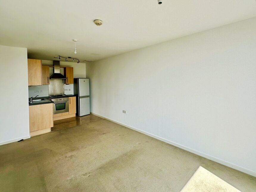 Living Area / Kitchen