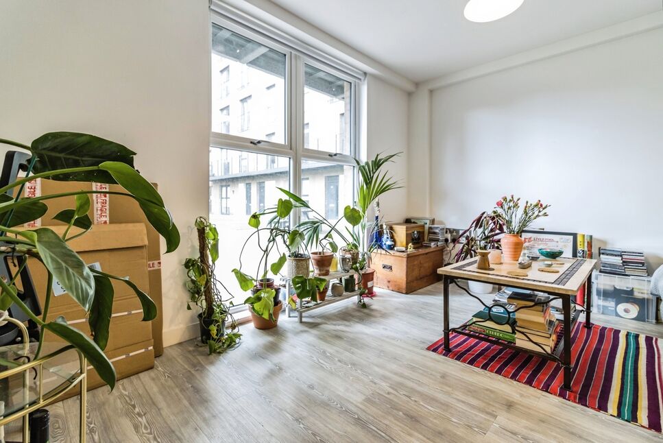 Living Area / Kitchen