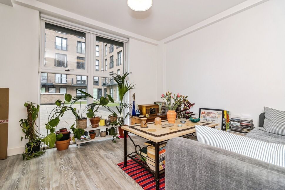 Living Area / Kitchen