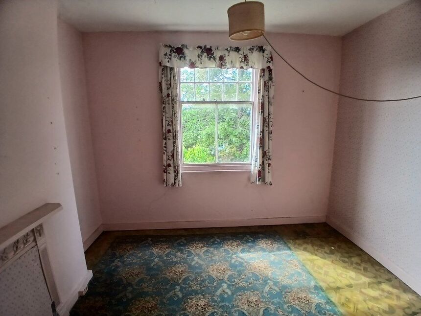 Image 12