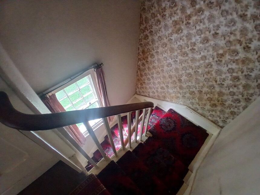 Image 19