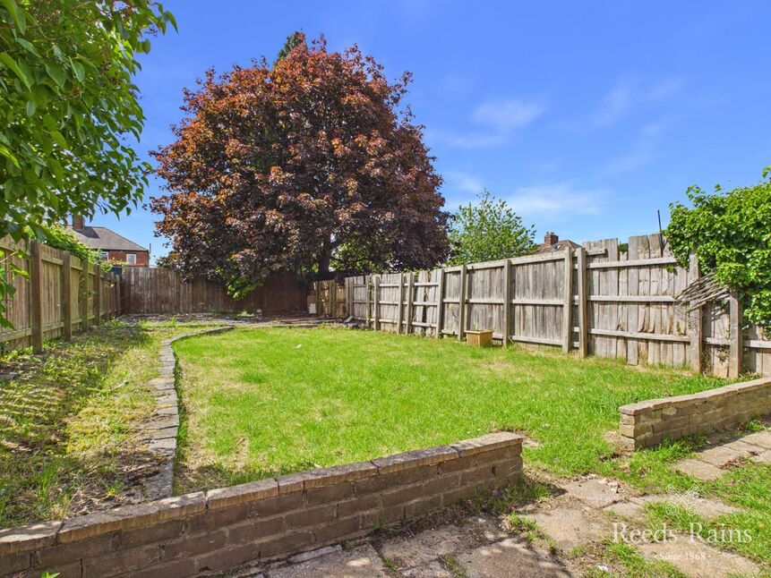 Image 13